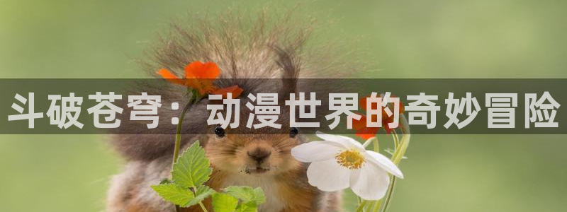 优质里番：斗破苍穹：动漫世界的奇妙冒险