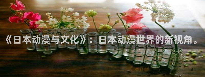 涩里番漫画软件：《日本动漫与文化》：日本动漫世界的新视角。