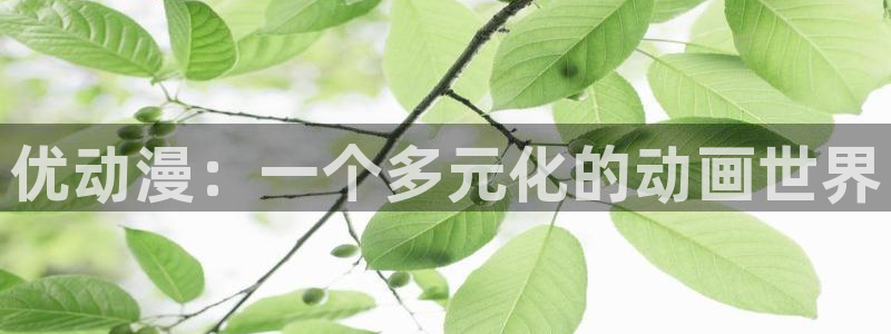 里番动漫在线播放：优动漫：一个多元化的动画世界