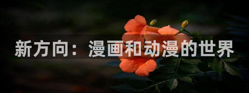 漫画肉里番：新方向：漫画和动漫的世界
