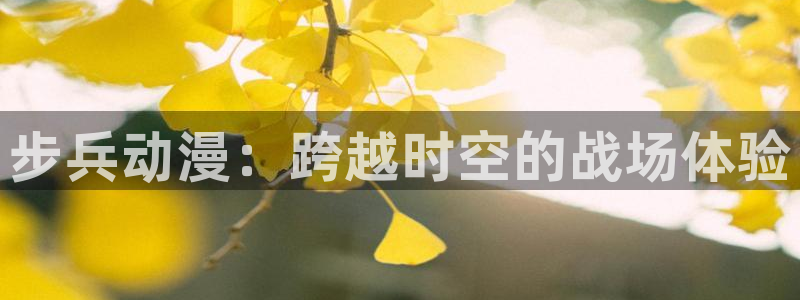 里番动漫acg网：步兵动漫：跨越时空的战场体验