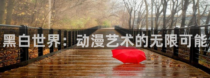 里番动画网站：黑白世界：动漫艺术的无限可能