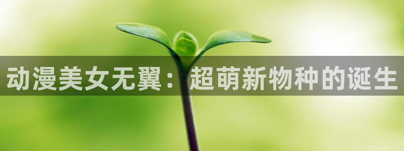 2024里番动漫：动漫美女无翼：超萌新物种的诞生